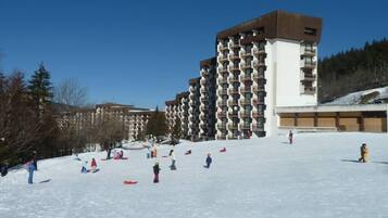 Sneeuw- en skisporten