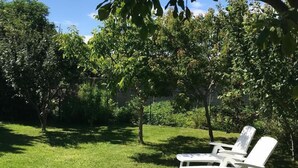 A grassy outdoor area with two white lounge chairs under a tree. - Groix: Authentic fisherman's house close to any convenience (Groix)
