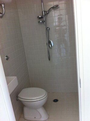 Hair dryer, towels, toilet paper