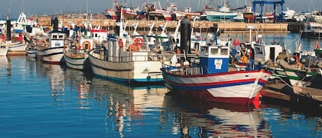 Marina