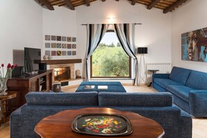 Fernseher, Kamin, DVD-Player