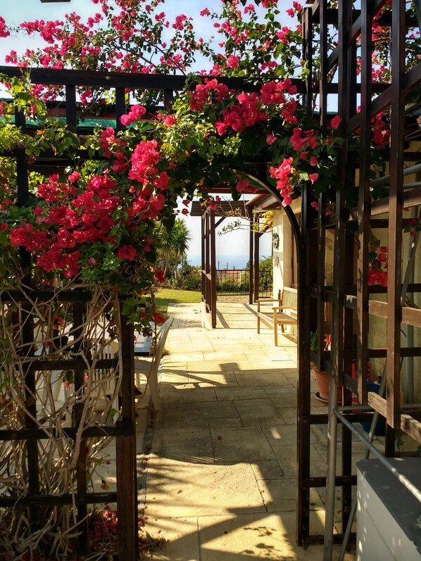 Ett takförsett utomhusområde med en pergola, en gångstig och utsikt över havet.