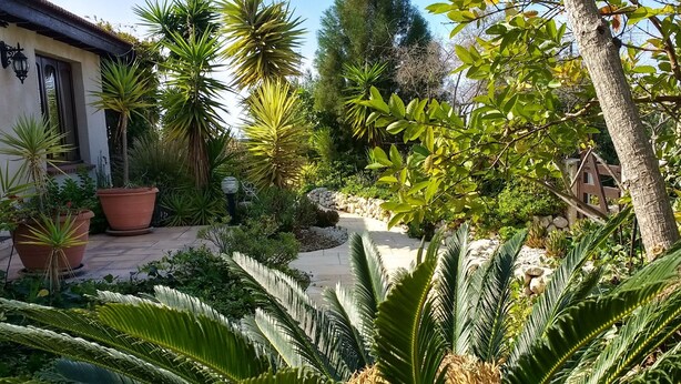 Un jardín con diversas plantas y un sendero.