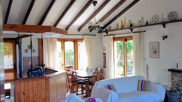 Smart TV, fireplace, DVD player, books