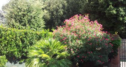 Home sweet home - close to the city, within walking distance of the center