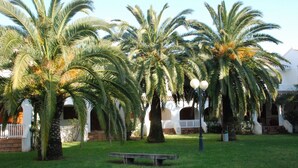 A courtyard with palm trees, a bench, and a building with a white fence and arches.