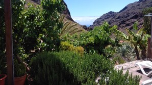 A garden with various plants and a white lounge chair. - Enjoy Casa Rural La Tinta (Buenavista del Norte)