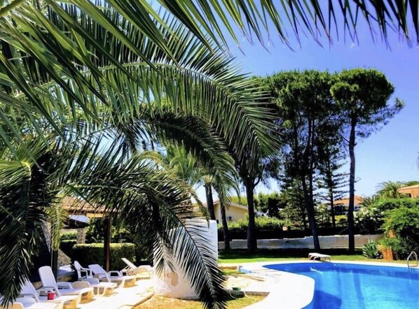 A pool area with lounge chairs and palm trees.