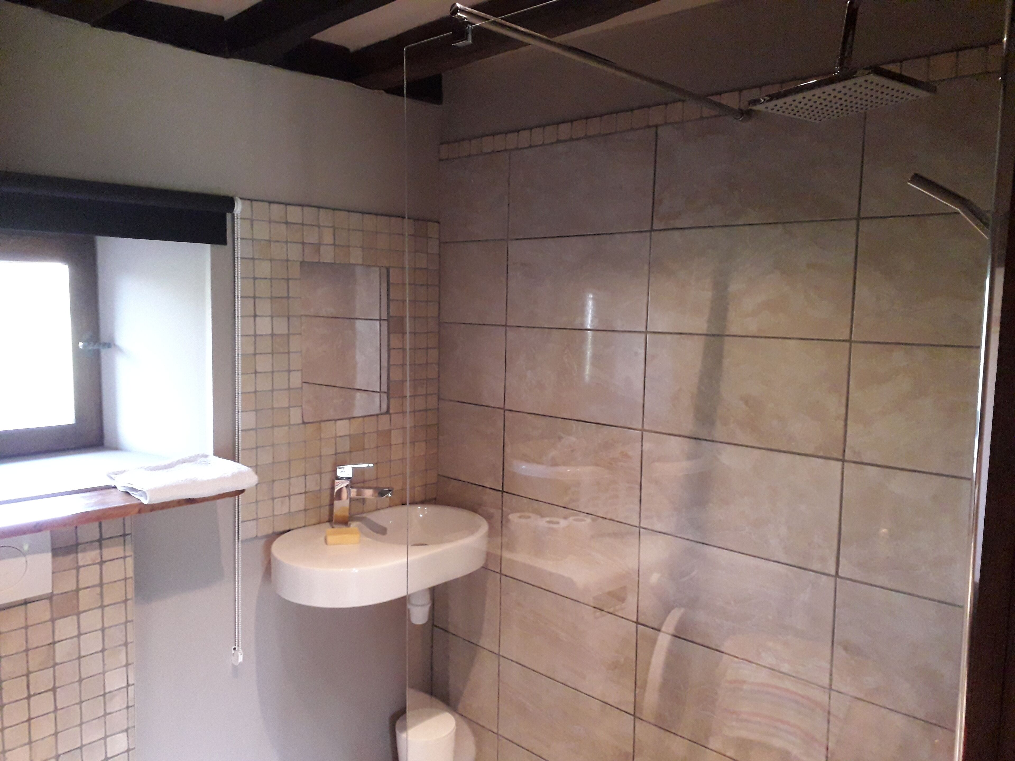 A bathroom with a sink, mirror, and shower.