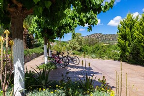 المنطقة المحيطة بالمنشأة