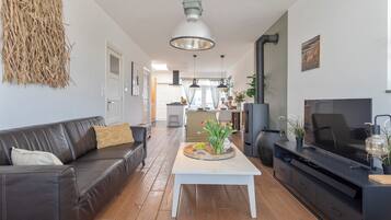 TV, fireplace, books, stereo