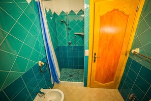 Shower, hair dryer, bidet, towels