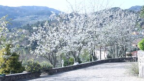 Un muro de piedra con un camino curvo, rodeado de árboles en flor y montañas al fondo.
