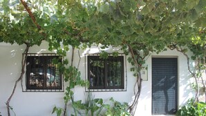 Un edificio blanco con dos ventanas, una puerta y un pequeño jardín con plantas en macetas y un árbol.