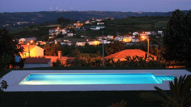 Una piscina rectangular con superficie de agua azul cristalina, rodeada por un césped bien cuidado y plantas en macetas.