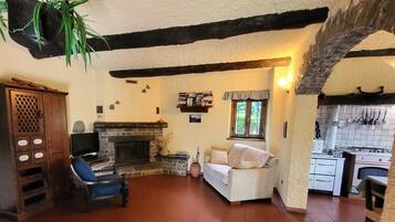 Télévision, cheminée, lecteur de DVD, chaßne hi-fi