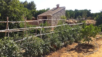 Áreas de la propiedad