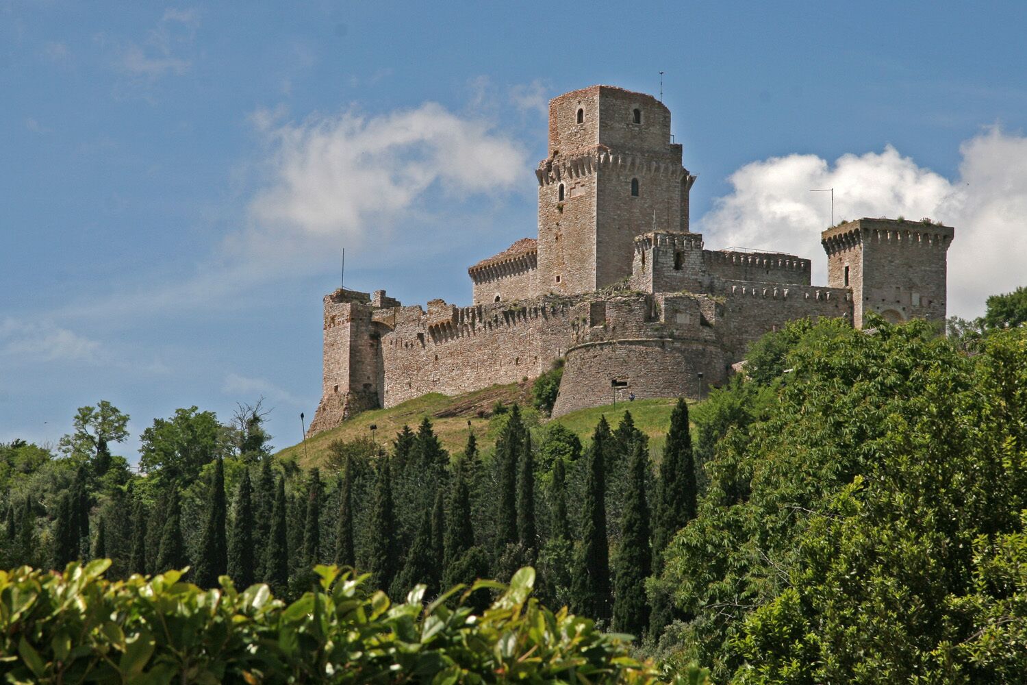 A historic castle with multiple towers, surrounded by dense forest.