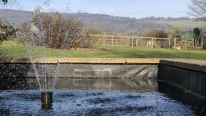 A tranquil outdoor scene with a water feature, a grassy area, and a fence in the background.