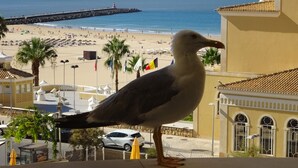 Una gaviota en un balcón con vistas a una playa y un muelle con banderas.