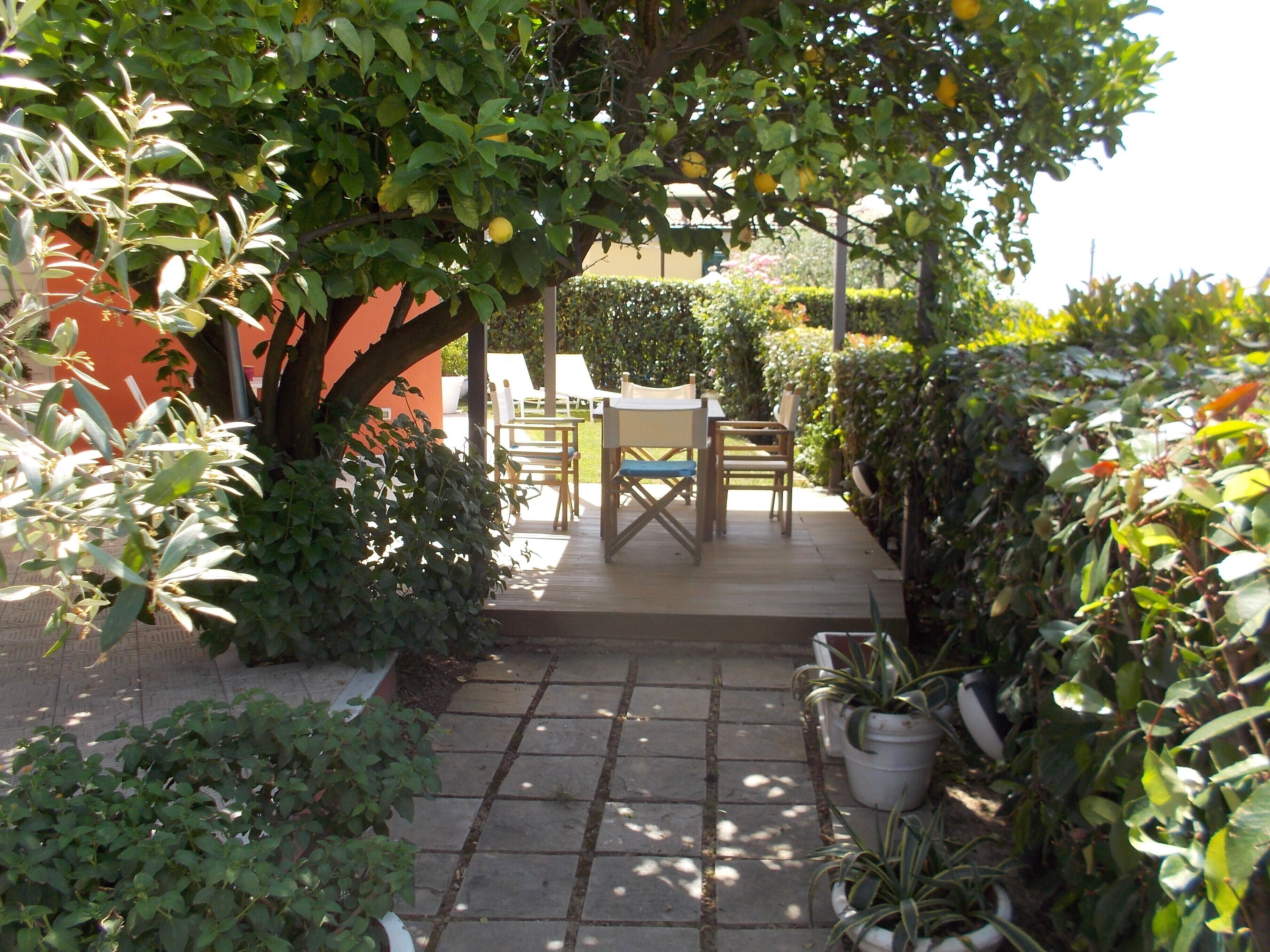A garden patio with a table and chairs, surrounded by various plants and a pergola with hanging fruit.