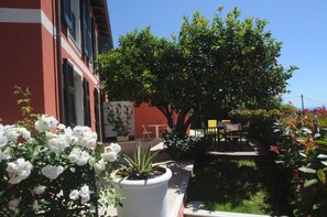 Stroll through the beautifully maintained garden, surrounded by lush greenery and vibrant flowers.