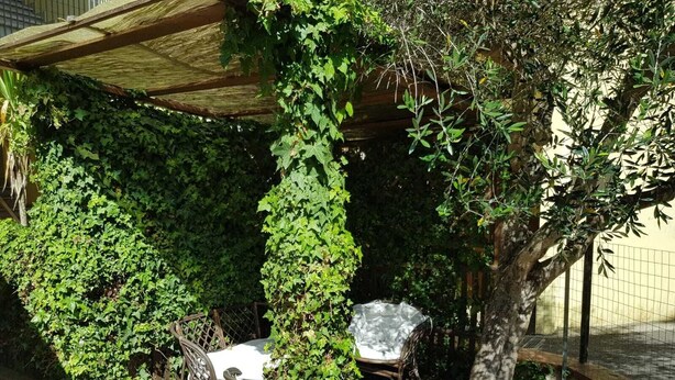 A covered outdoor seating area with wicker furniture, surrounded by dense greenery. - Residential flat with garden (Scarlino)