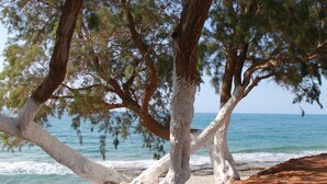 Una spiaggia con alberi e una vista libera sull'oceano.