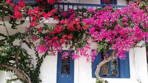 Un edificio con una porta blu e finestre, circondato da vegetazione lussureggiante e fiori di bouganvillea rosa vivaci.