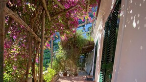 Un espacio exterior cubierto con suelo de baldosas, una manguera y plantas con flores.