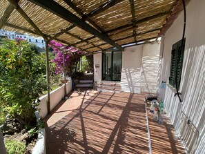 Terras