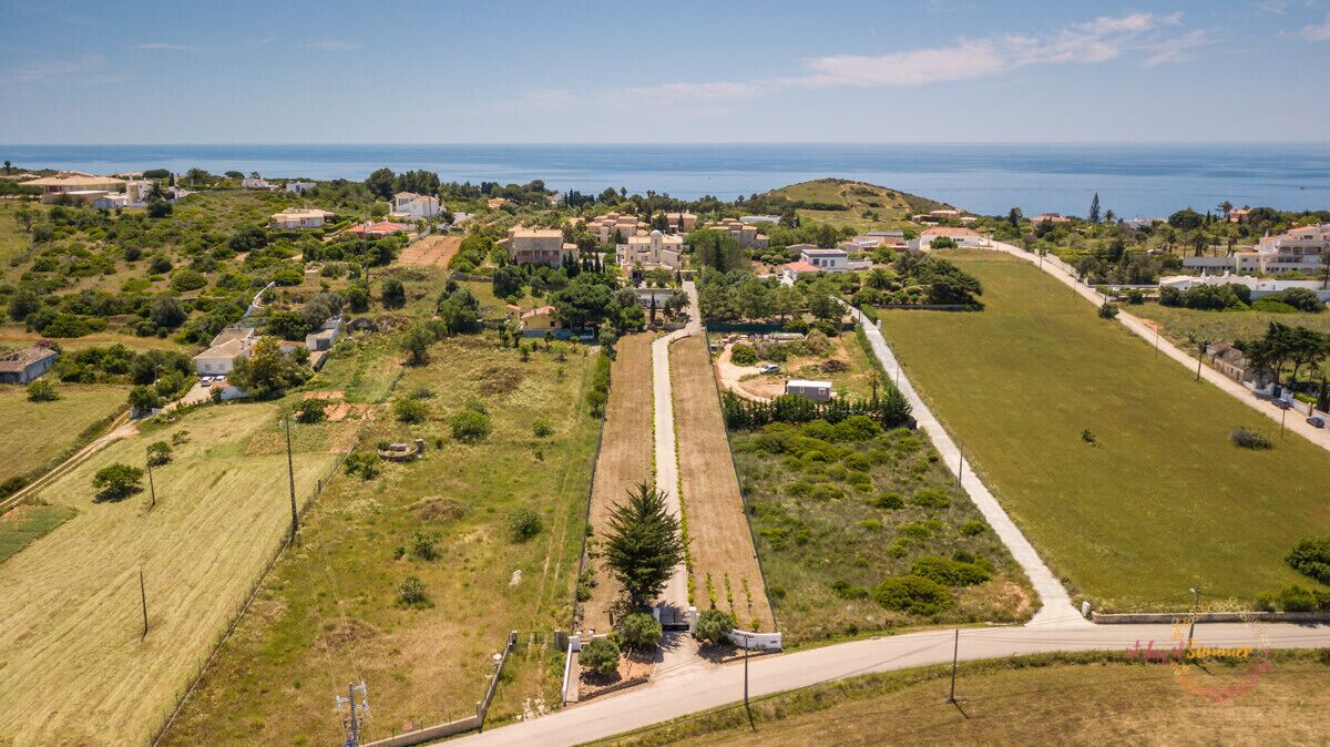 Une vue aérienne d’un village côtier, avec ses maisons, ses champs verdoyants et une route menant à la mer.