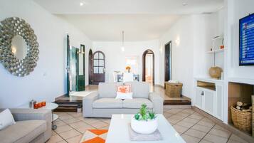 Een televisie, een open haard, boeken en een muziekbibliotheek