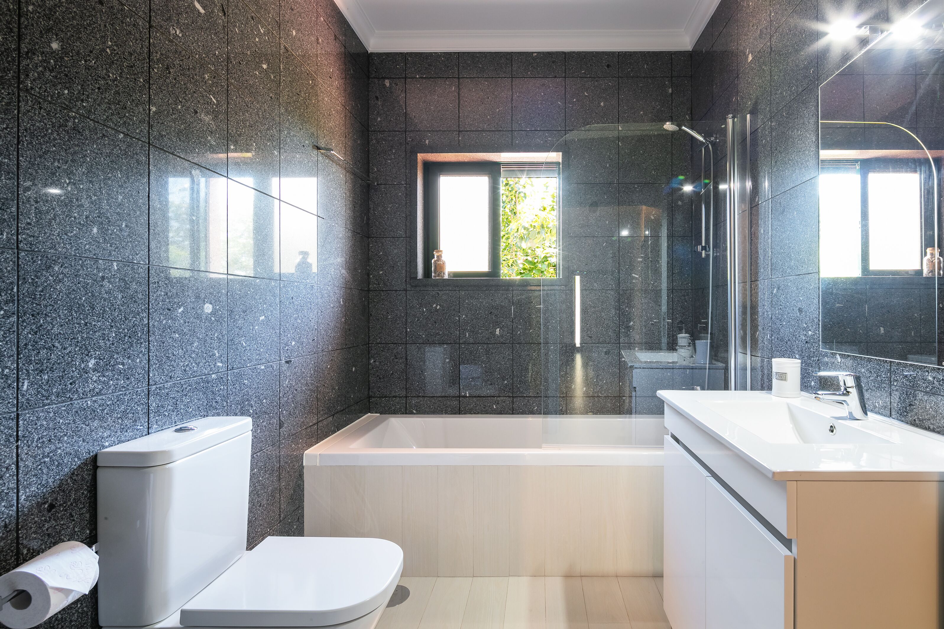 Combined shower/tub, hair dryer, towels, shampoo