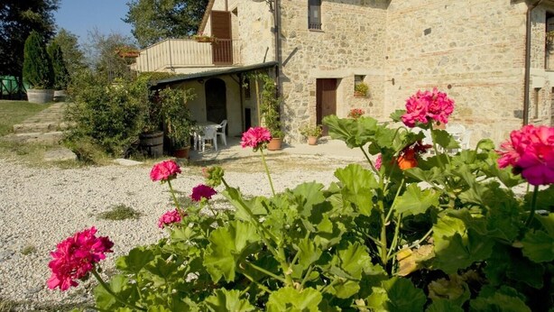 Un bâtiment en pierre doté d’un patio couvert, d’un petit jardin agrémenté de fleurs roses et d’un chemin de gravier.