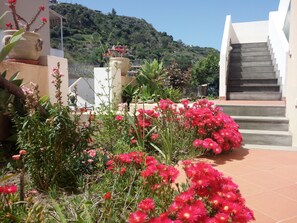 Property grounds - Casa Catalogna A, Historic Center of Lipari (Lipari)