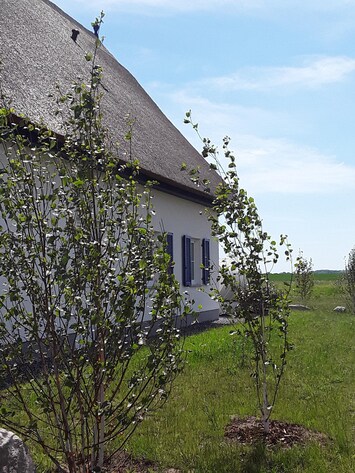 Blick nach Süden in die Weite Rüggens auf das Vogelschutzgebiet