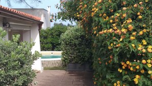 Un espace piscine doté d’une terrasse carrelée, entouré d’une végétation luxuriante et de plantes en fleurs.