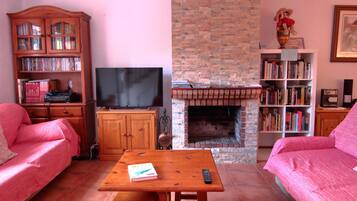 Télévision, cheminée, jeux vidéo, lecteur de DVD