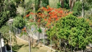 A residential area with a fenced garden, a variety of trees, and a small house in the background. - Village dos Pássaros (Guarapari)