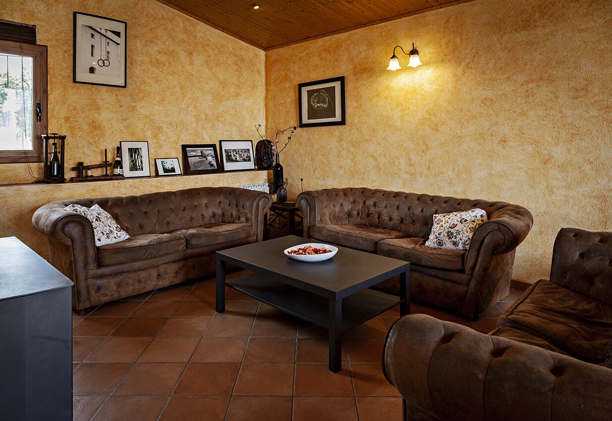 TV, fireplace, books