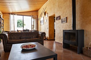 TV, fireplace, books