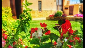 Detall de l'exterior