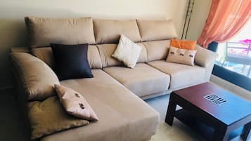 Smart TV, DVD player, books, video library