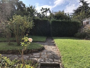Een pad van stenen dat door een tuin slingert, met een rozenstruik en een haag.