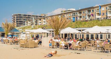 Endless Summer Beach