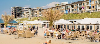 Endless Summer Beach