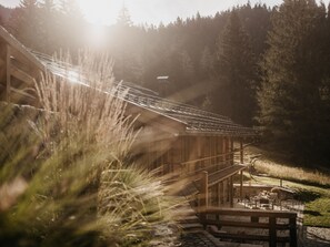 Terrain de l’hébergement 