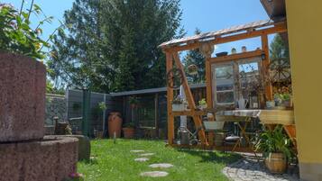 Un'area esterna rustica con una pergola in legno, un vialetto in pietra e diverse piante in vaso.