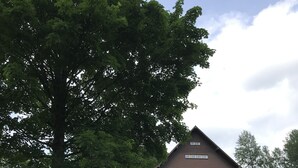 A large house with a sloped roof, surrounded by tall grass and a tree.